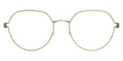 Lindberg® Air Titanium Rim™ Gillian LIN ATR Gillian Basic-PGT-PGT-P10 47 - Basic-PGT-PGT Eyeglasses