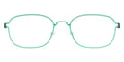 Lindberg® Air Titanium Rim™ Mars LIN ATR Mars Basic-85-85-P10 50 - Basic-85-85 Eyeglasses
