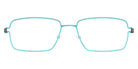 Lindberg® Air Titanium Rim™ Nikolaj LIN ATR Nikolaj Basic-80-80-P10 54 - Basic-80-80 Eyeglasses