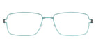 Lindberg® Air Titanium Rim™ Nikolaj LIN ATR Nikolaj Basic-P85-P85-P10 54 - Basic-P85-P85 Eyeglasses