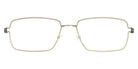 Lindberg® Air Titanium Rim™ Nikolaj LIN ATR Nikolaj Basic-PGT-PGT-P10 54 - Basic-PGT-PGT Eyeglasses
