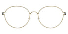 Lindberg® Air Titanium Rim™ Panto LIN ATR Panto Basic-PGT-PGT-P10 48 - Basic-PGT-PGT Eyeglasses