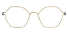 Lindberg® Air Titanium Rim™ Rui LIN ATR Rui Basic-PGT-PGT-P10 45 - Basic-PGT-PGT Eyeglasses