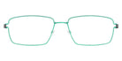 Lindberg® Air Titanium Rim™ Tim LIN ATR Tim Basic-85-85-P10 55 - Basic-85-85 Eyeglasses