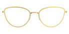 Lindberg® Blok™ 4253 LIN BLOK 4253 GT GT 150 50 - GT GT