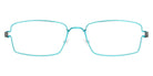Lindberg® Kid|Teen™ Flemming LIN KID Flemming Basic-80-80-P10 48 - Basic-80-80 Eyeglasses