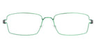 Lindberg® Kid|Teen™ Flemming LIN KID Flemming Basic-P90-P90-P10 48 - Basic-P90-P90 Eyeglasses