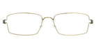 Lindberg® Kid|Teen™ Flemming LIN KID Flemming Basic-PGT-PGT-P10 48 - Basic-PGT-PGT Eyeglasses