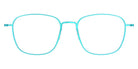 Lindberg® Thintanium™ 5801 LIN THN 5801 850-80-P10 49 - 850-80 Eyeglasses