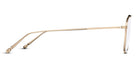 Matsuda® M3129 MTD M3129 Brushed Gold 51 - Brushed Gold Eyeglasses