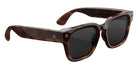 Meta Fury Sun Sunglasses - Mahogany/Clear to Grey Transitions®