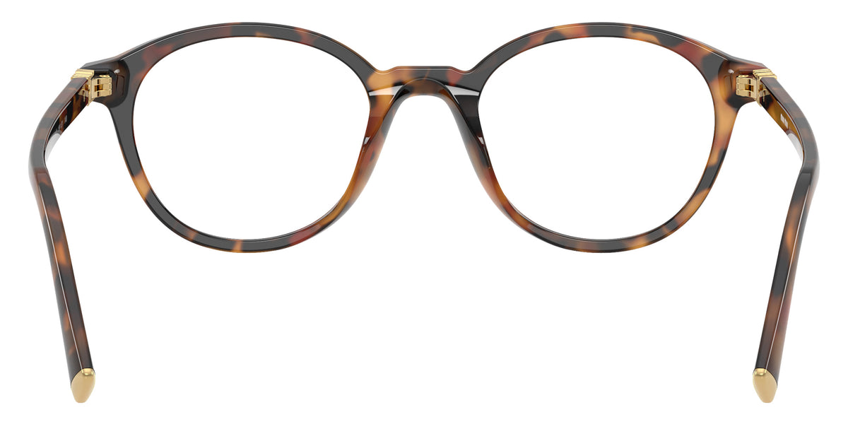 Miu Miu® MU 02WV Eyeglasses MU 02WV 19P1O1 50 - Havana Ivy