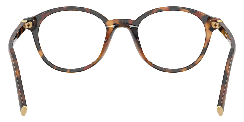 Miu Miu® MU 02WV Eyeglasses MU 02WV 19P1O1 50 - Havana Ivy
