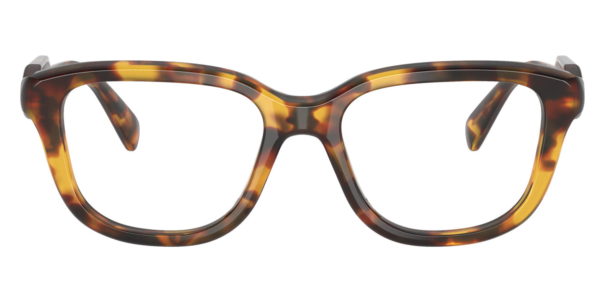 Miu Miu® MU 02ZVF Eyeglasses MU 02ZVF 14L1O1 53 - Honey Havana
