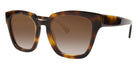 Native Ken® Spring Sun - Havana Tortoise/Gradient Brown Sunglasses