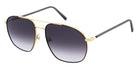 Andy Wolf® Oak Sun ANW Oak Sun 04 59 - Gold/Black Sunglasses