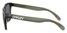 Oakley® OO9013 FROGSKINS OO9013 9013M5 55 Sunglasses - Olive Ink / Gray