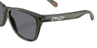Oakley® OO9013 FROGSKINS OO9013 9013M5 55 Sunglasses - Olive Ink / Gray