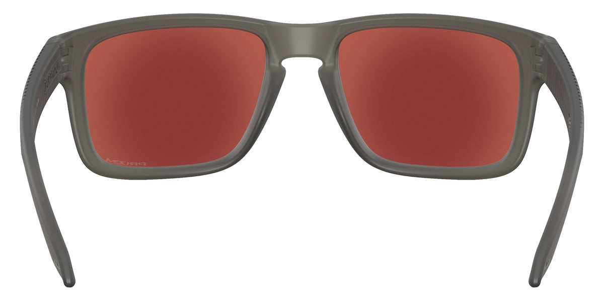 Oakley® OO9244 HOLBROOK (A) Sunglasses - Transparent Grey Smoke