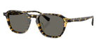 Oliver Peoples® OV5598SU Geometric OV5598SU 1778R5 50 Sunglasses - Tokyo Tortoise/Carbon Gray