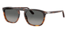Persol® PO3391S Sunglasses PO3391S 116071 55 - Gae Gradient Havana Gradient G