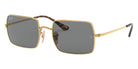 Ray-Ban® Rectangle RB1969   Sunglasses