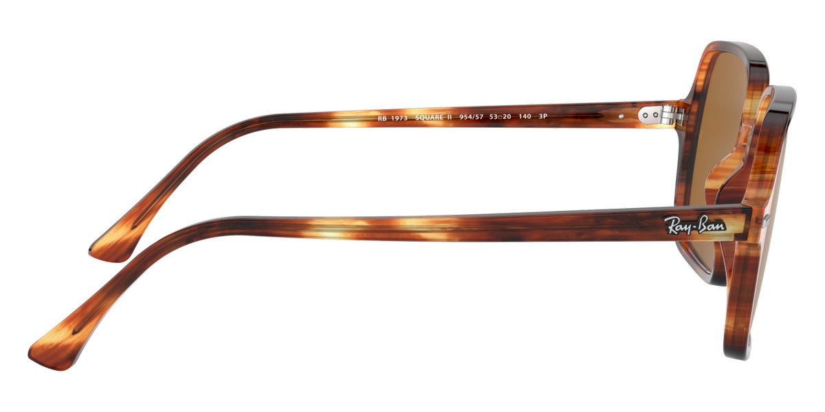 Ray-Ban® Square Ii RB1973   Sunglasses