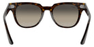 Ray-Ban® Meteor RB2168   Sunglasses