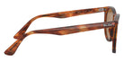 Ray-Ban® Wayfarer Ii RB2185   Sunglasses