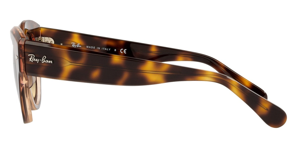 Ray-Ban® Roundabout RB2192   Sunglasses