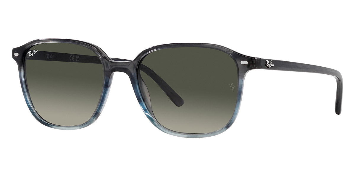 Ray-Ban® Leonard RB2193 Square Sunglasses - EuroOptica – EuroOptica™