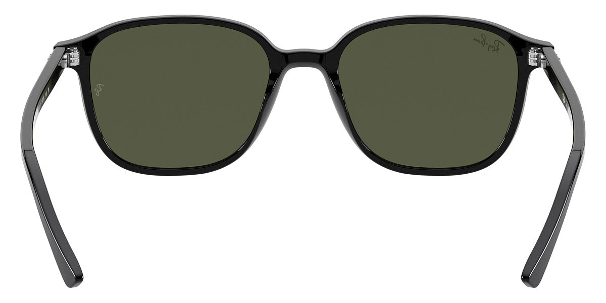 Ray-Ban® Leonard RB2193   Sunglasses