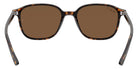 Ray-Ban® Leonard RB2193   Sunglasses