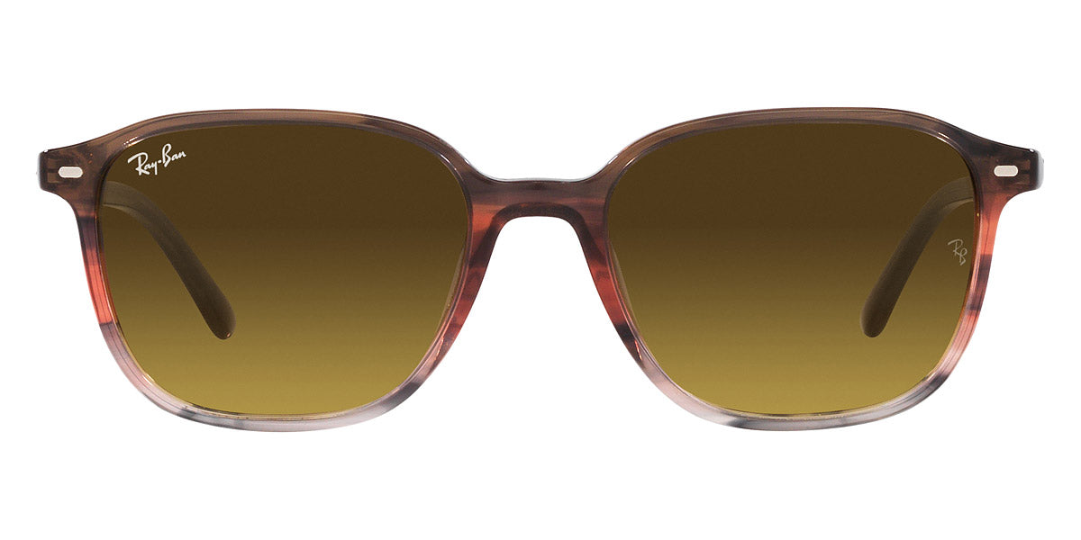 Ray-Ban® Leonard RB2193F Square Sunglasses - EuroOptica – EuroOptica™