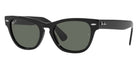 Ray-Ban® Laramie RB2201   Sunglasses