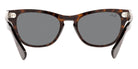 Ray-Ban® Laramie RB2201   Sunglasses
