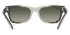 Ray-Ban® Mr BuRBank RB2283   Sunglasses