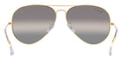 Ray-Ban® Aviator RB3025 55   Sunglasses