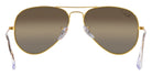 Ray-Ban® Aviator RB3025 55   Sunglasses