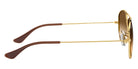 Ray-Ban® Cockpit RB3362   Sunglasses