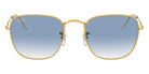 Ray-Ban® Frank RB3857 RB3857 919658 51 - Legend Gold with G-15 Green lenses Sunglasses