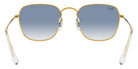 Ray-Ban® Frank RB3857   Sunglasses
