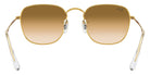 Ray-Ban® Frank RB3857   Sunglasses