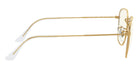 Ray-Ban® Frank RB3857   Sunglasses