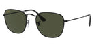 Ray-Ban® Frank RB3857   Sunglasses