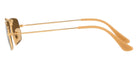Ray-Ban® Julie RB3957   Sunglasses
