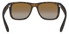 Ray-Ban® Justin RB4165   Sunglasses