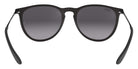 Ray-Ban® Erika RB4171   Sunglasses