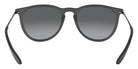 Ray-Ban® Erika RB4171   Sunglasses