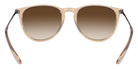 Ray-Ban® Erika RB4171   Sunglasses